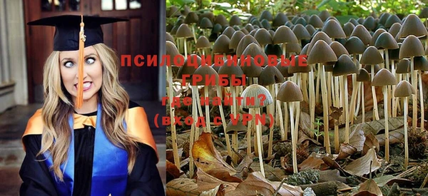 apvp Осинники