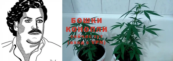 трава Нягань