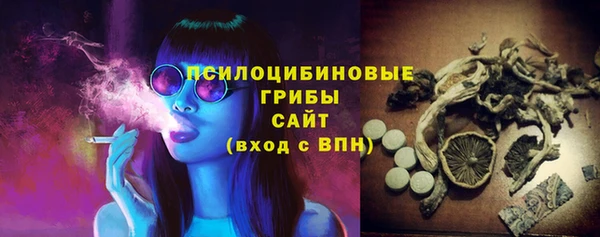 бошки Няндома
