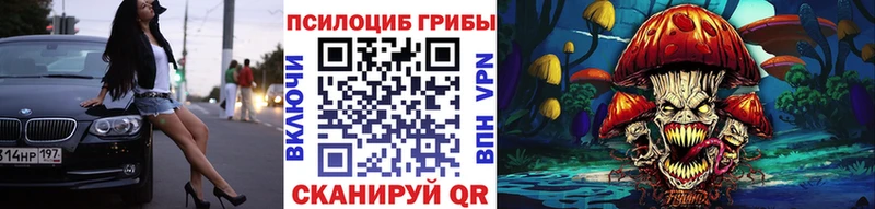 Псилоцибиновые грибы Psilocybe  Купить  Донецк 